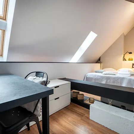 Deluxe Two-level Appartement