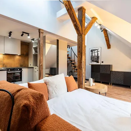 Deluxe Two-level Appartement Katowice